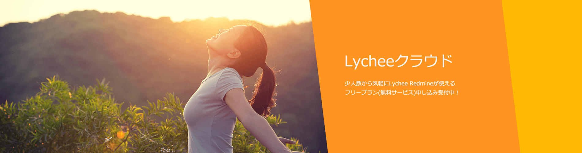 プロジェクト管理ツール Lychee Redmine テクマトリックス